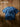 270gsm Dark Washed Tie Dyed T-shirts